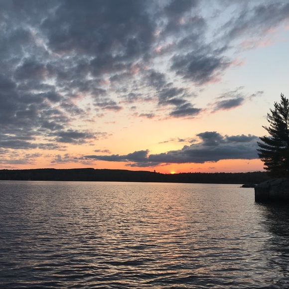 Meet your Posher, Alexis - Picture 1 of 1